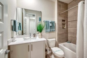 Modern furnished bathroom with alcove bathtub, sink, mirror, and decorative plant in an Eagle Trace resort residence.